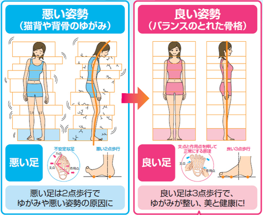 足裏バランステーピング法 - 横浜の整体スクール 笠原 巖／あしけんスクール（足健検定大学）